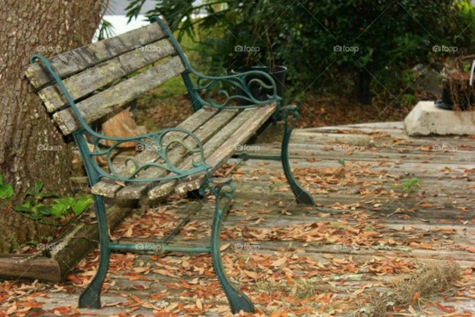 Bench. The bench on our deck.