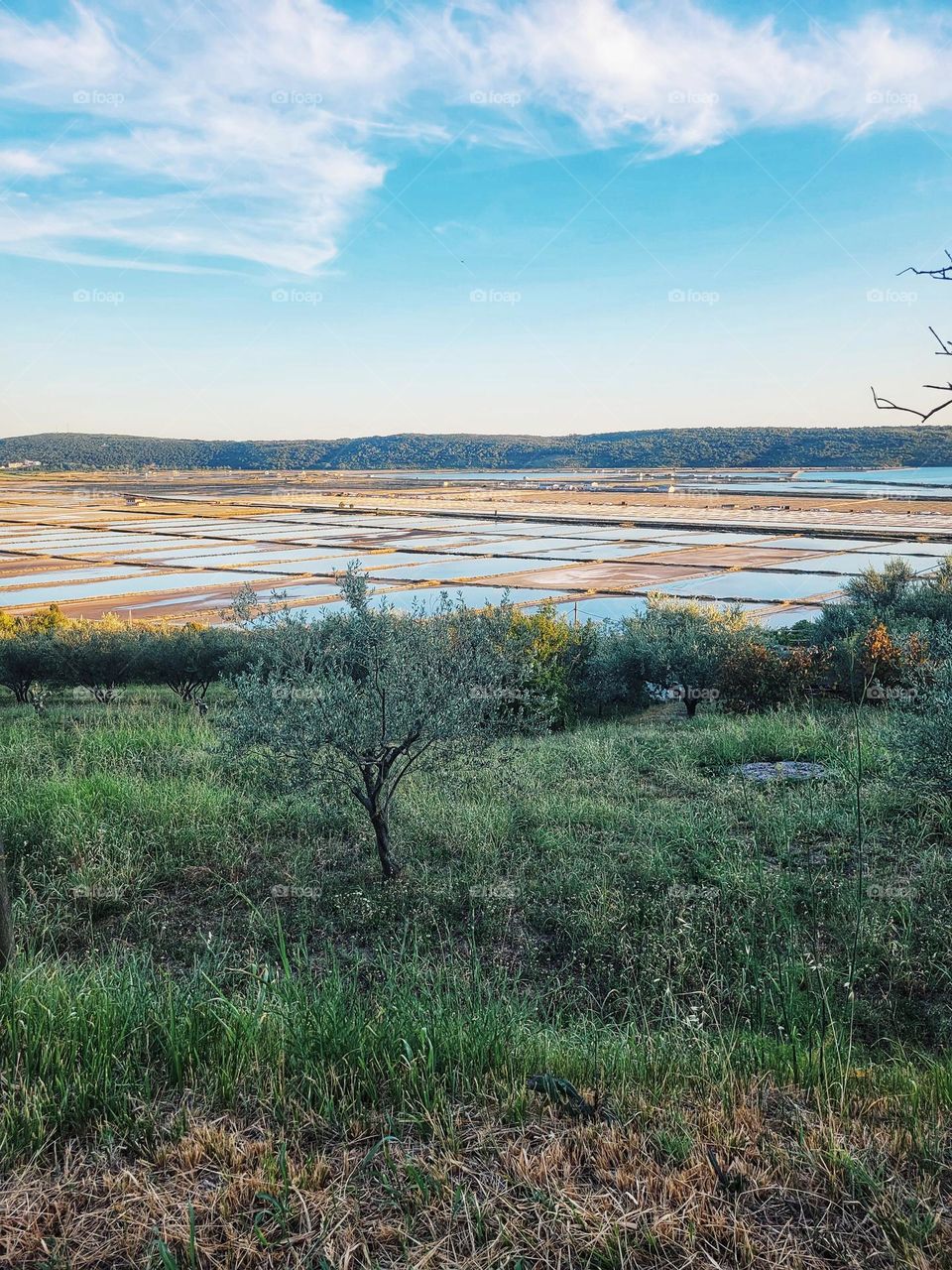 Scenic view of green hills against blue sky and beautiful sea in Slovenia. Summer time. Vacation. Landscape