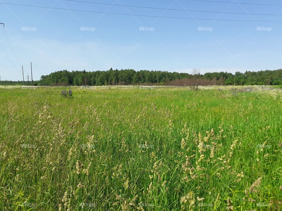 Русские просторы