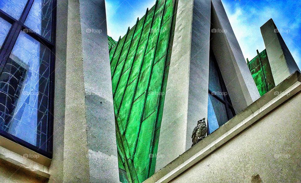 Keeping pigeons off the church roof