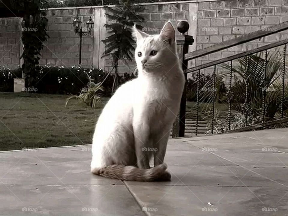 Eyes that see far into the future!