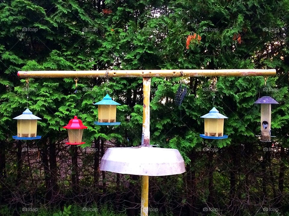 Bird feeders 