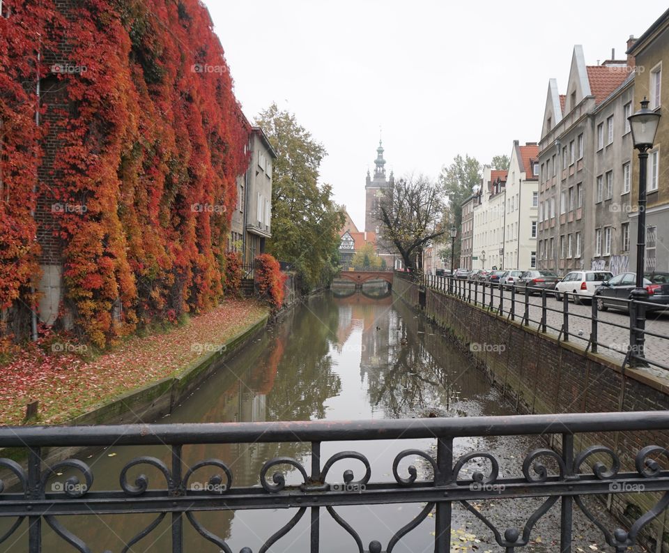 Enjoying a walk around Gdansk on a dull grey October morning .. when I spotted a bit of colour .. love the autumnal orange foliage on the side of this building ๐