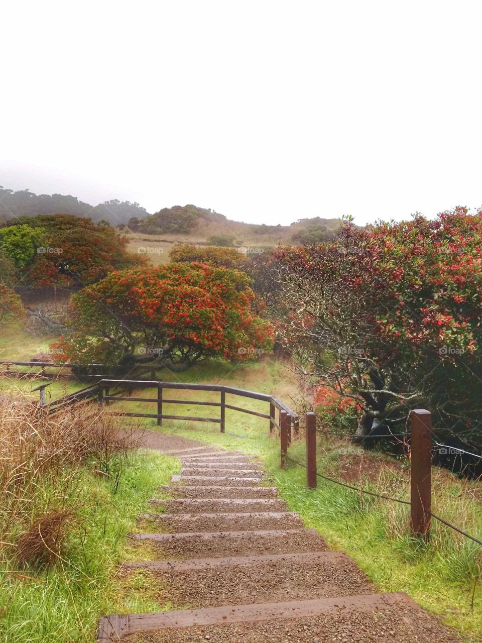 Golden Gate Recreational Area