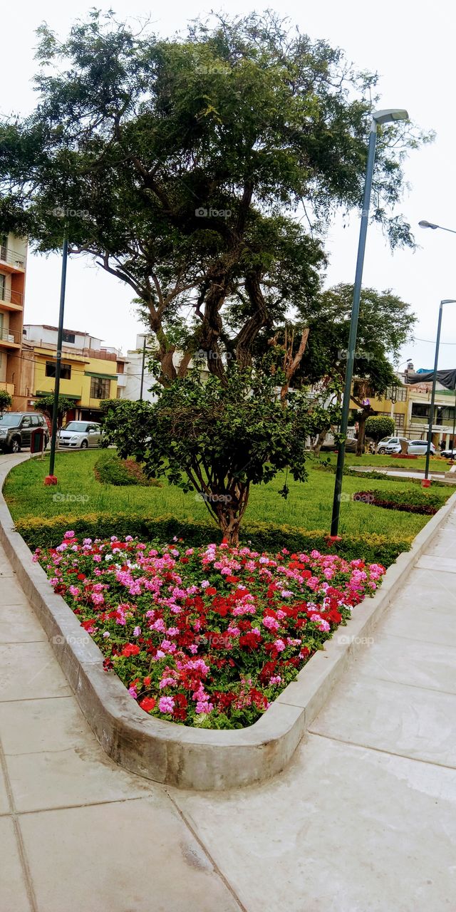 Singular and beautiful