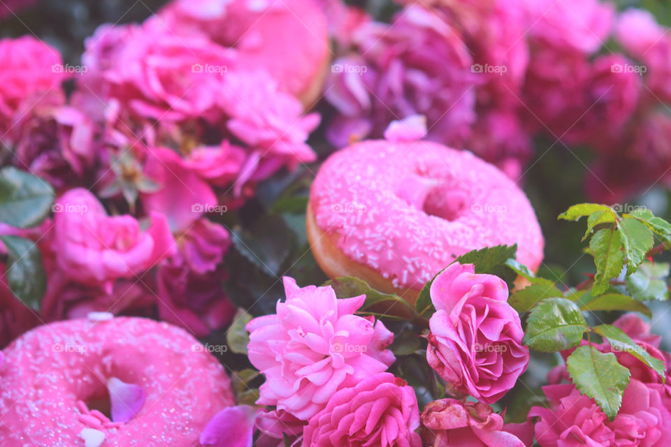 rose doughnuts