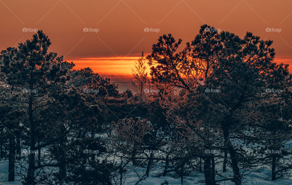 National park. Sunrise.