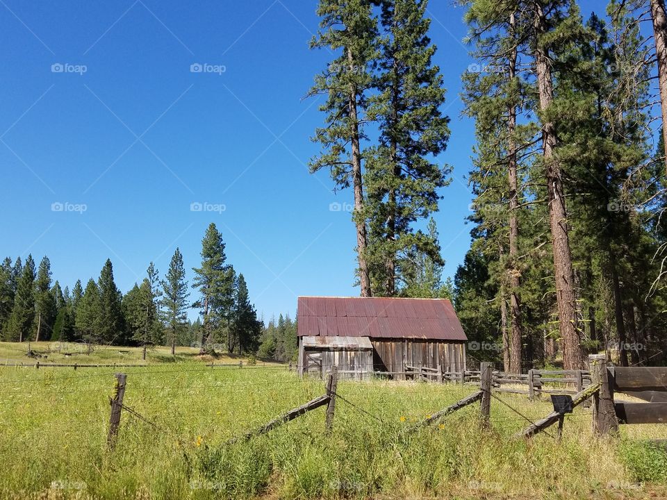 old barn