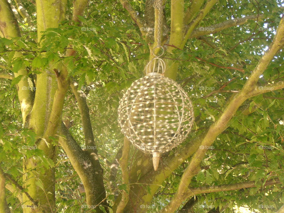 Ornament