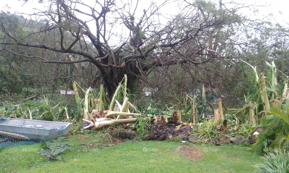 cyclone damage