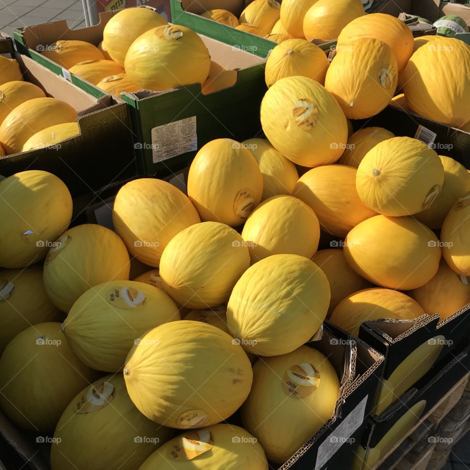 Yellow Melons in the sunlight