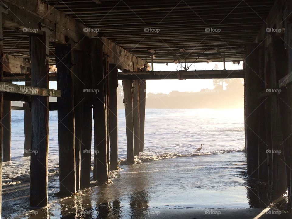 Under the pier