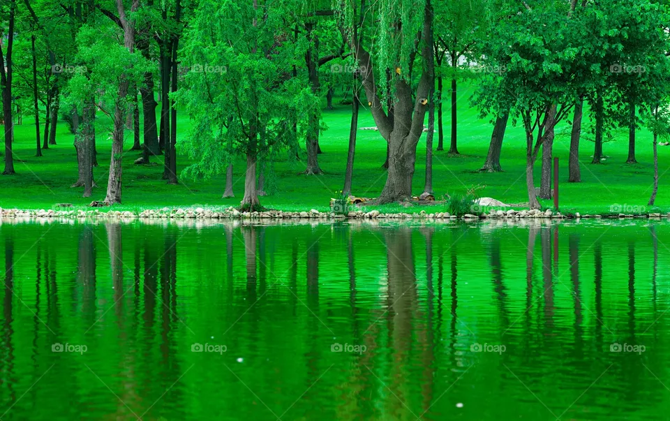 Green Glory