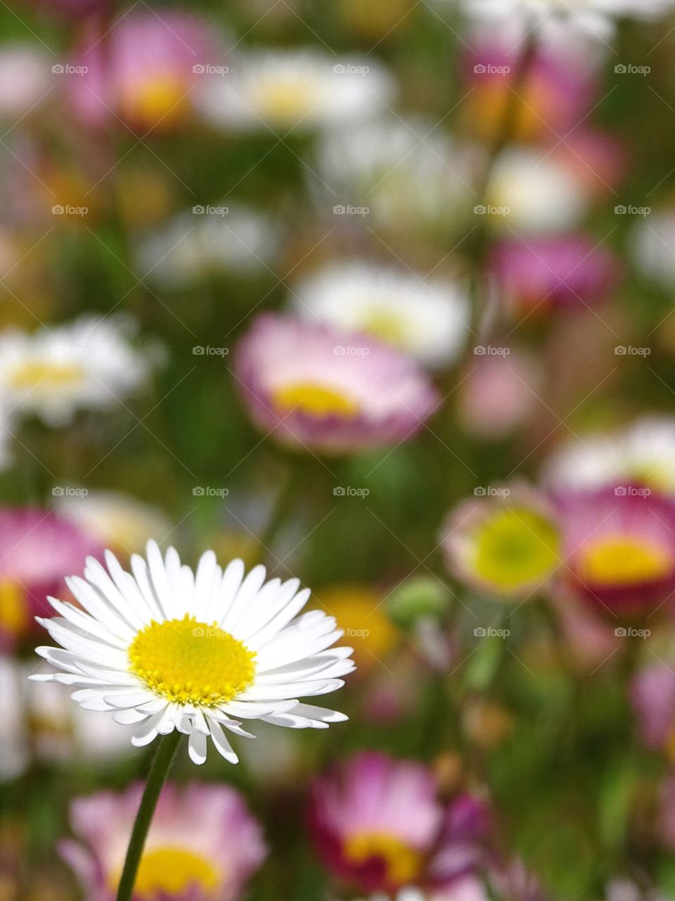 Everything with another approach