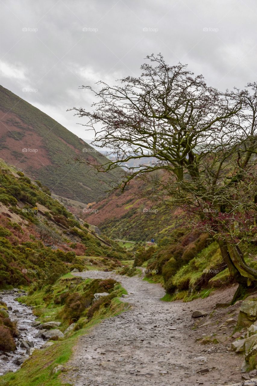 Path on carding mill valley in Shropshire 