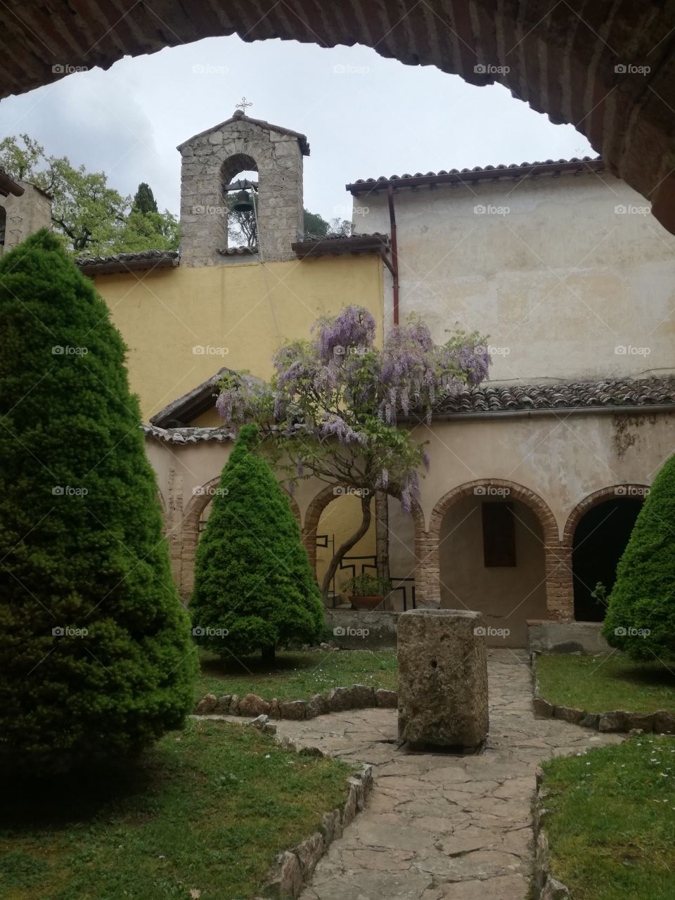 Sublime scent. Wisteria nutt