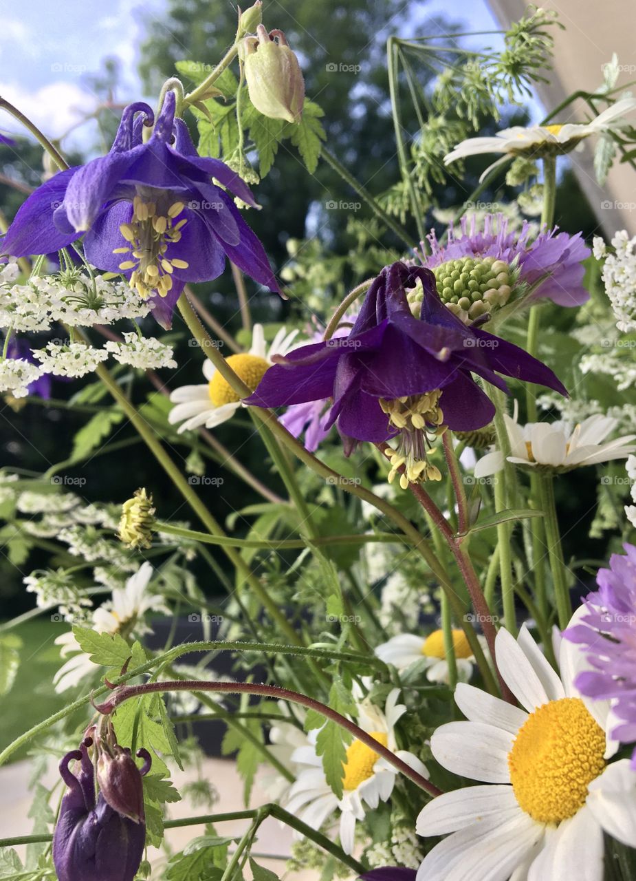 Bouquet with columbines