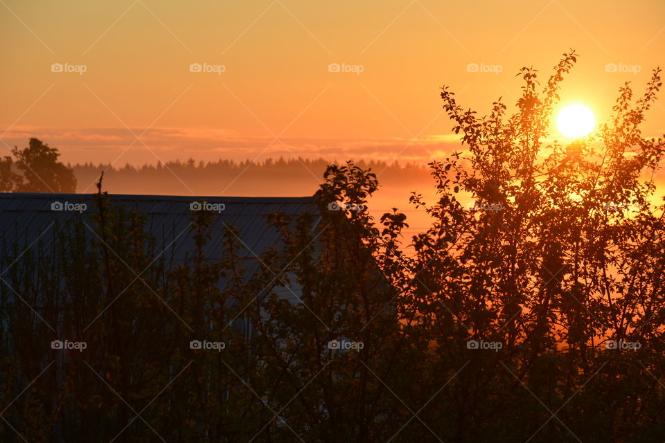 Sunset, Dawn, Sun, Evening, Landscape