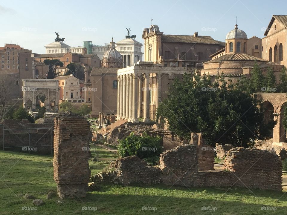 The Roman Forum in Rome, Italy 
