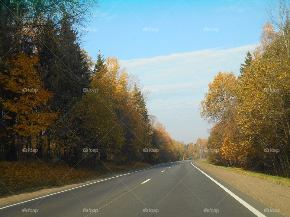 road trip window car view