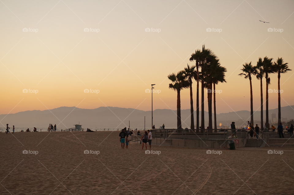 beach of venice at sunset