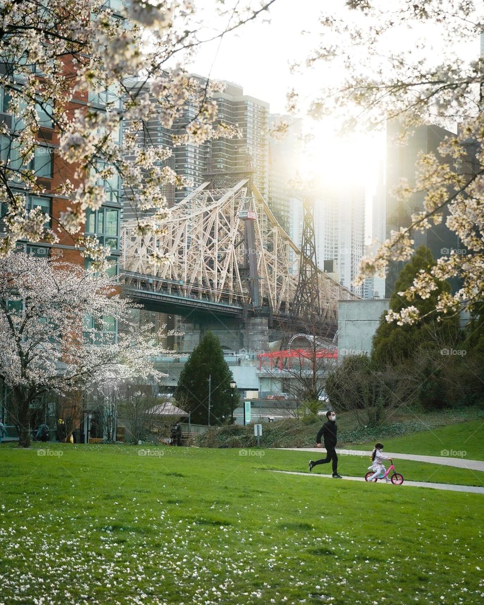 Sunset light on a beautiful spring afternoon