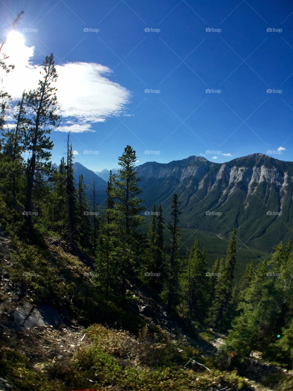 View of banff national park