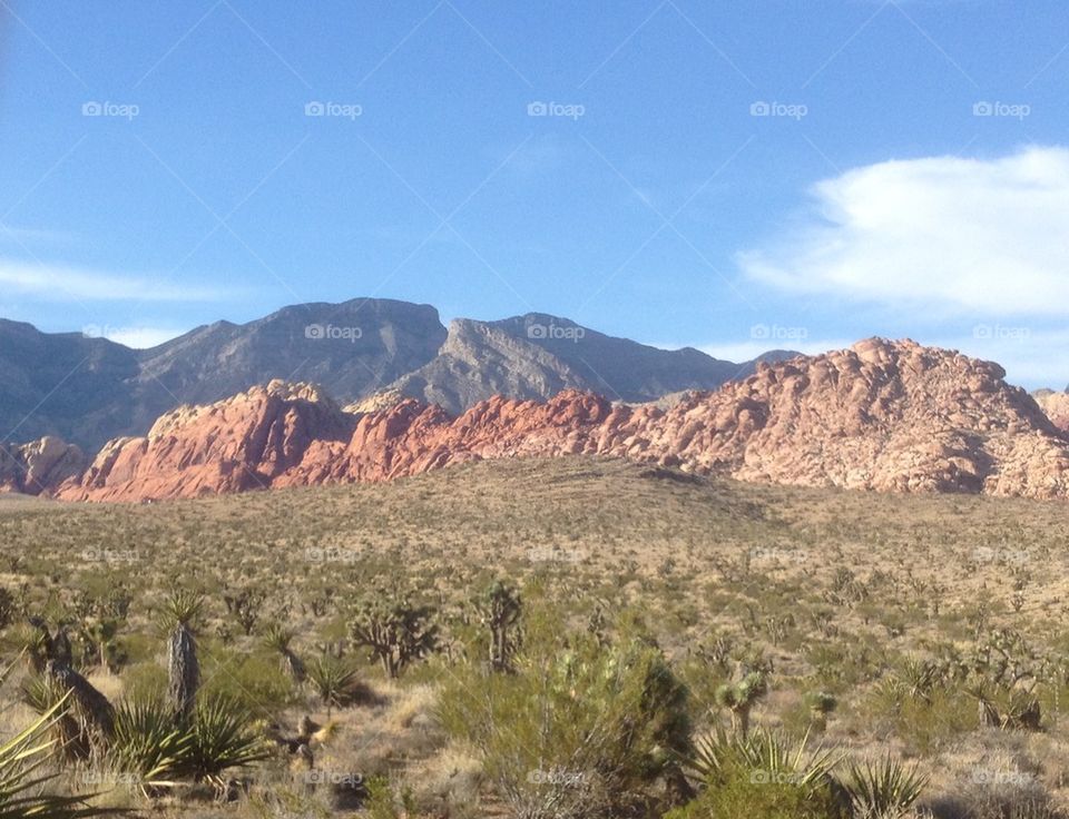 Red Rock Canyon Zoom