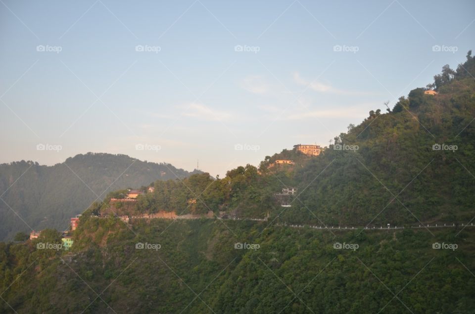 Landscape, Tree, Fog, Mountain, Hill