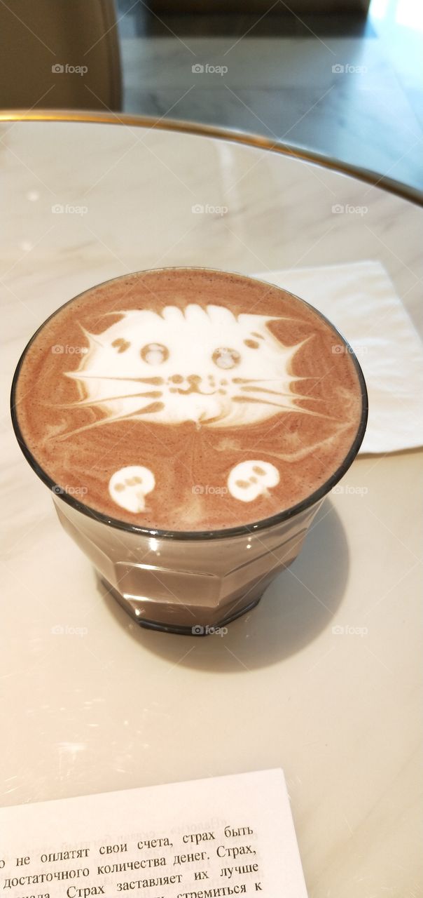 such a cute  cappuccino kitten