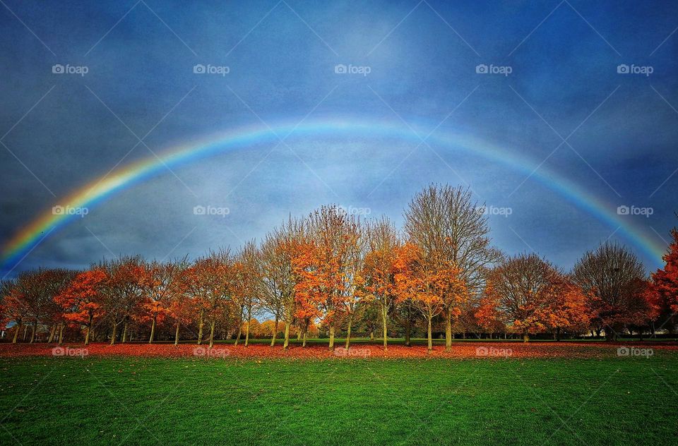 Autumn foliage and rainbow