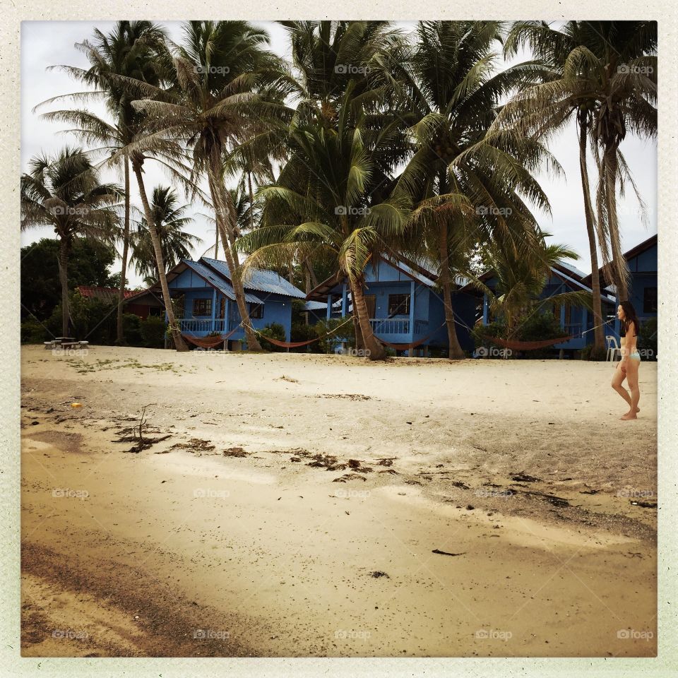 Palm, Beach, Sand, Tropical, Coconut
