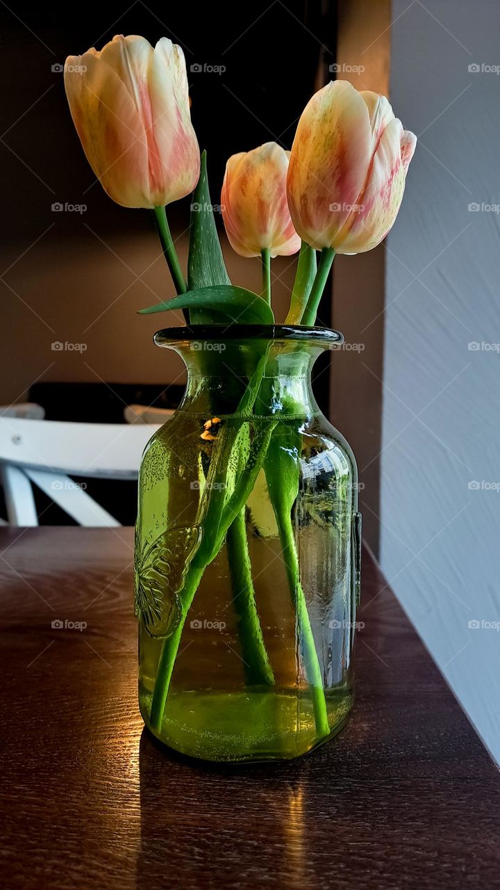 close-up view of tulips in the vase