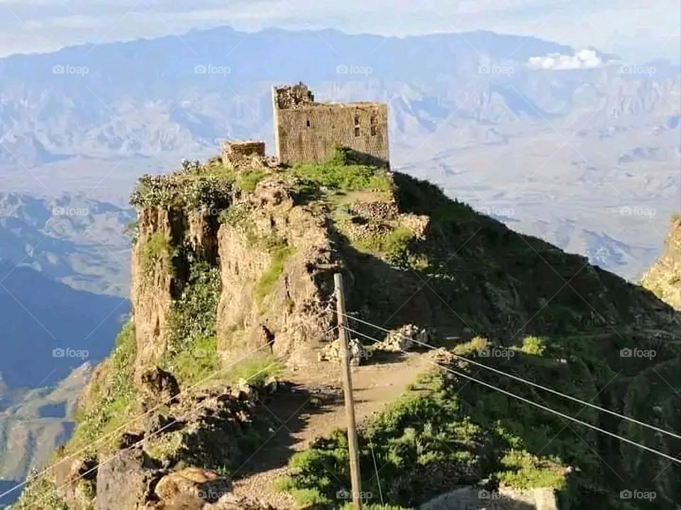 A very beautiful picture, and there is no better picture than it. There is no better picture of green herbs and colorful, red and white roses than it. Glory be to God, the natural and picturesque view, and there is no more