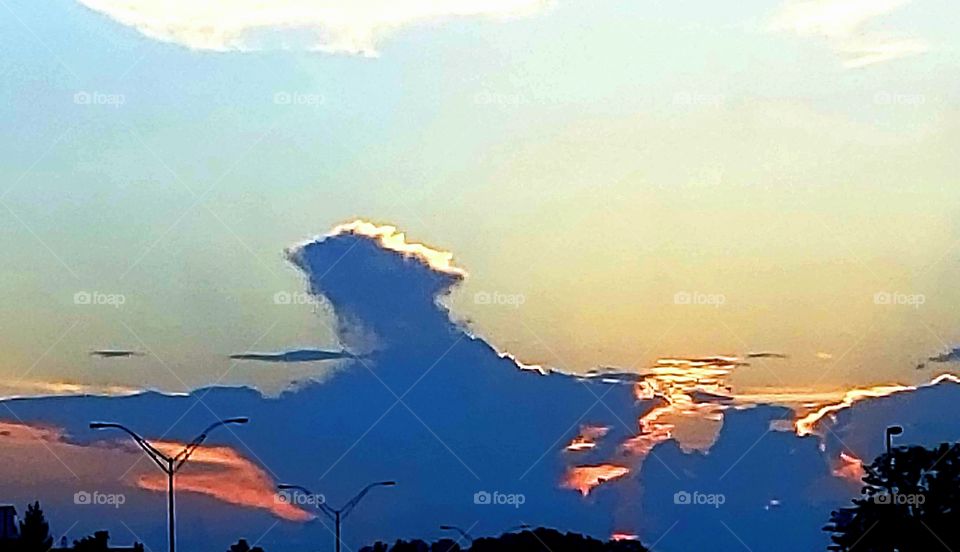 Have you ever seen.. the CLOUD OF AN ANGEL?!