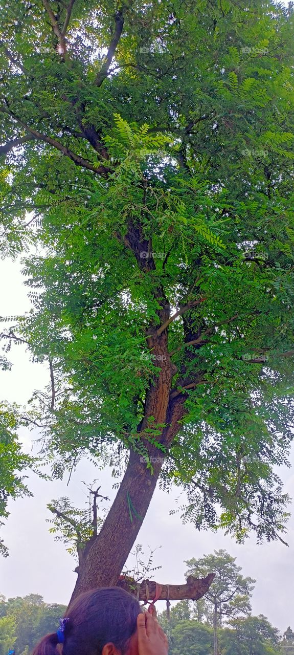 go green 🤘🤘🤘