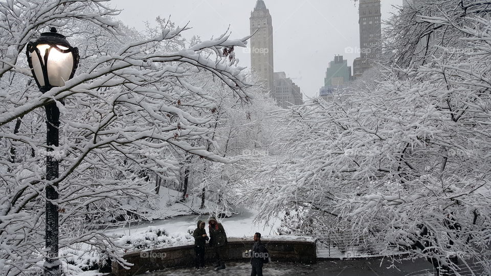 Winter in New York City. 🗽❄❄❄⛇☃🌨🌨🎄❄