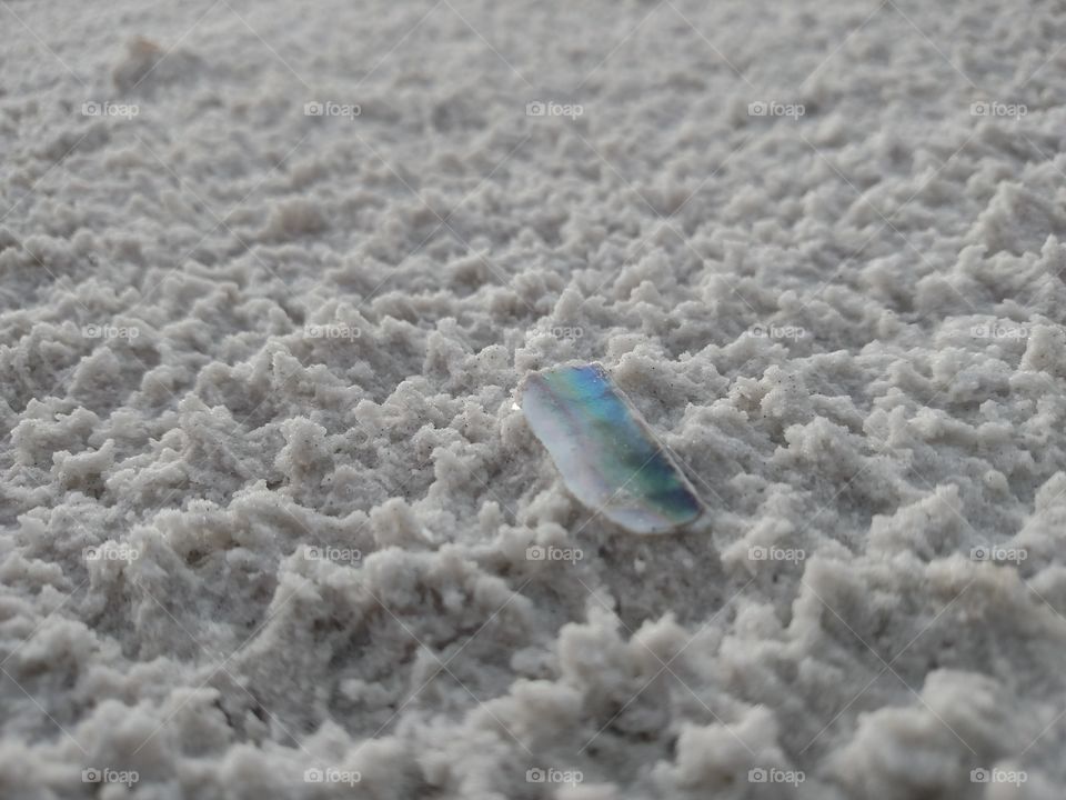 Rainbow seashell piece in rained-upon sand.