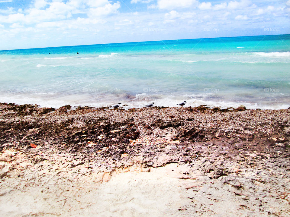sand rock. cuba beach