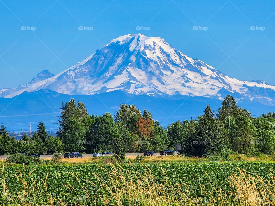 Mount Rainier in Washington state is seen from many miles away on a rare cloud free afternoon
