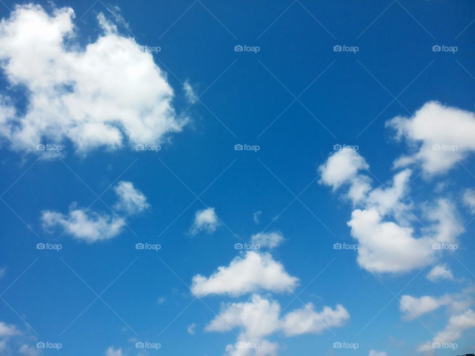 dia lindo céu azul