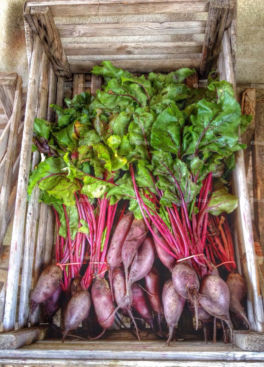 Beet root