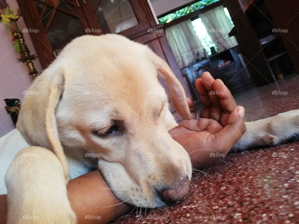 She likes to play with me whole day. But she bites me every time when playing. Thats how she shows her love