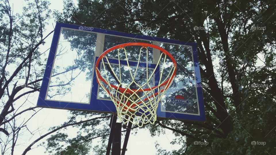 Hoops