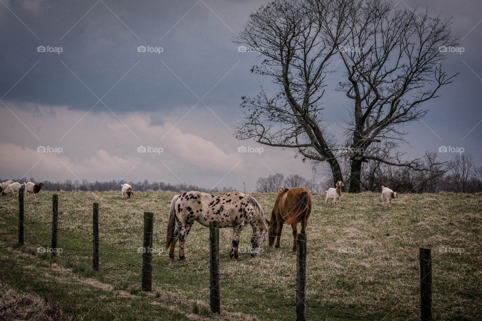 Stormy Weather 