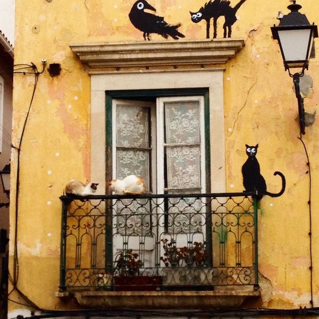Leiria . Leiria 