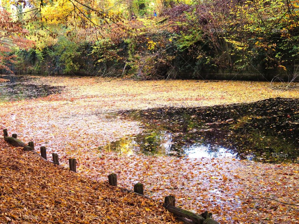 river in autumn