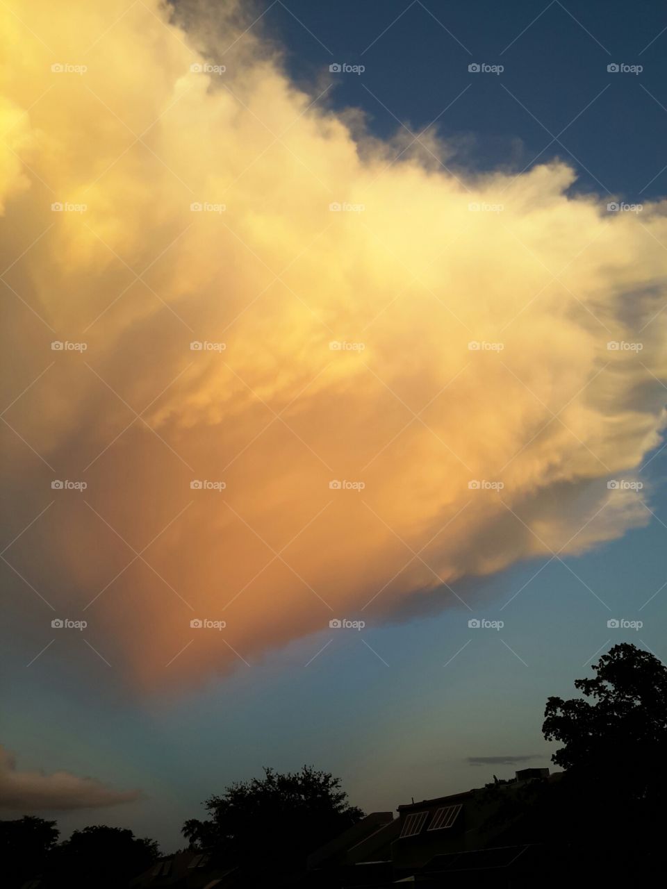 golden cloud. Golden cloud formation lit by setting sun