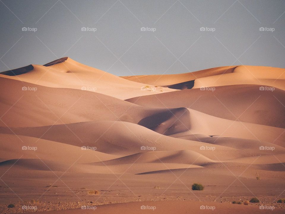 sand dunes