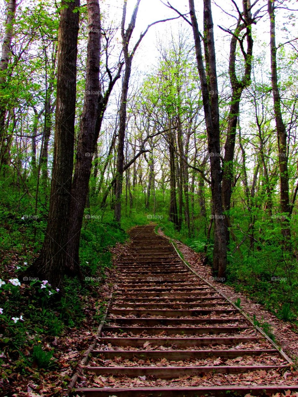 Summertime Adventure